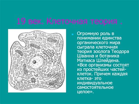 Роль Т. Шванна в понимании биологической организации