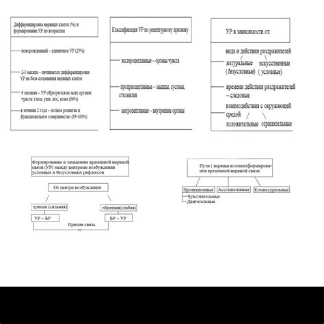 Роль безусловных рефлексов в формировании поведения человека