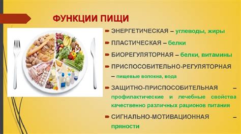 Роль белка и желтка в питании: их значение для организма и особенности состава