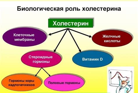 Роль взаимодействия апопротеинов с гликоконъюгатами в организме