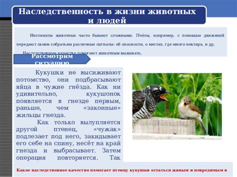 Роль врожденных реакций в поведении человека и животных