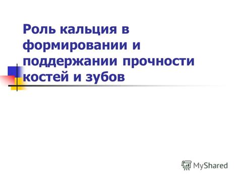 Роль в поддержании крепких костей и здоровых зубов
