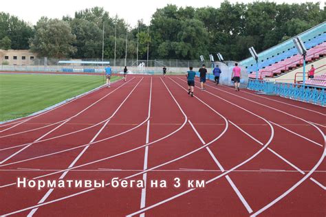 Роль гибкости и растяжки в повышении скорости бега на дистанции 100 метров