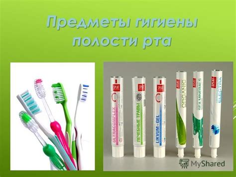 Роль гигиены в процессе обновления кожи песца