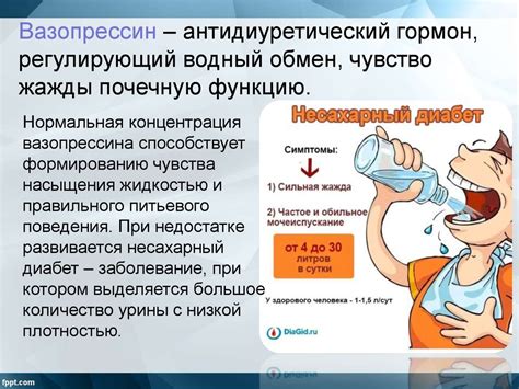 Роль гипоталамуса в регуляции потребности в жидкости у китавы