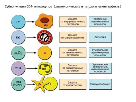 Роль глутатиона и глутамина в иммунной системе