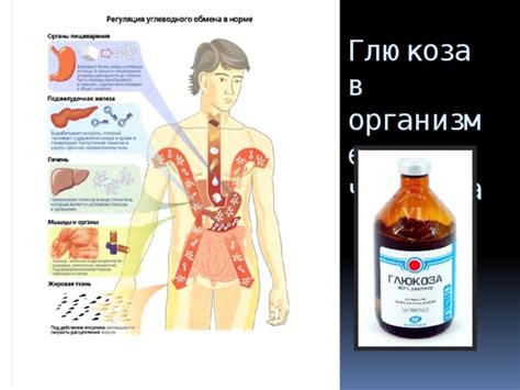 Роль глюкозы в восстановлении организма после операции у взрослых