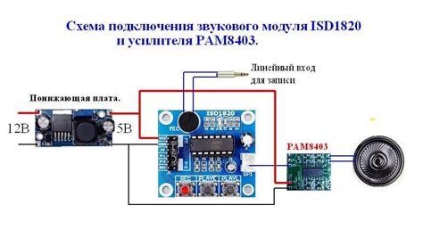 Роль и важность интегрированной микросхемы на печатном модуле для органов воспроизведения текста