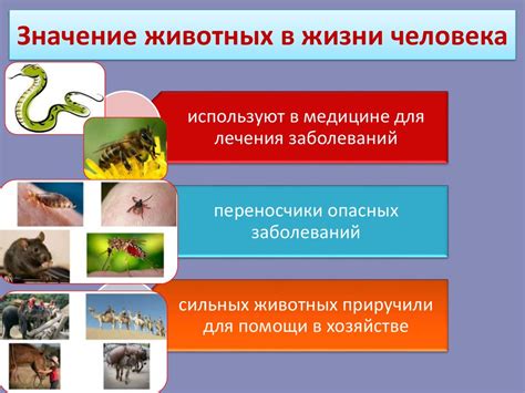 Роль и значение характера в повседневной жизни