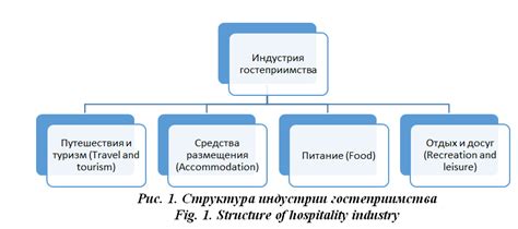 Роль и цель сферы обслуживания и гостиничного сектора