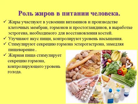 Роль лецитина в расщеплении жиров и усвоении питательных веществ