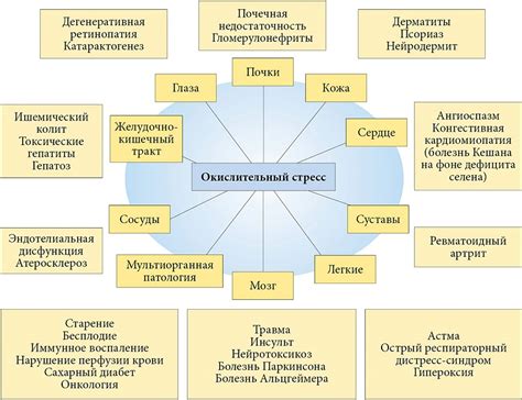 Роль липоевой кислоты в организме