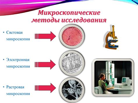 Роль микроскопии в изучении биологических систем: от клеток до организмов