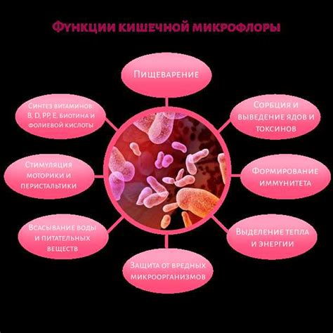 Роль микрофлоры и ее значимость для организма детей