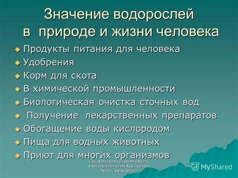 Роль мотивации в жизни человека: суть и значение