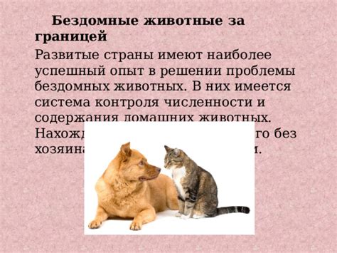 Роль муниципального управления в решении проблемы нежелательного поведения домашних животных