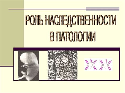 Роль наследственности в выявлении оттенка волос