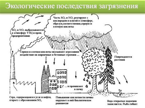 Роль оазисов в изменении климата и поддержании экологической баланса