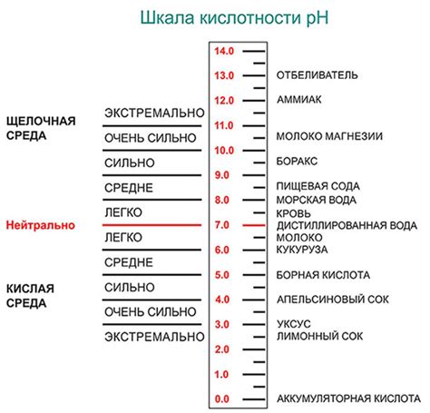 Роль органических удобрений в изменении кислотности почвы