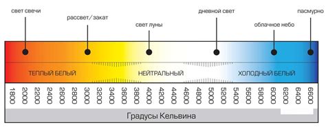 Роль освещения и оптимальной температуры в стимулировании окраски помидоров