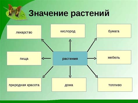 Роль пана в текстильных изделиях: значение и значение его применения