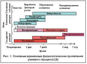 Роль периодонтина в процессе регенерации пародонтальных тканей