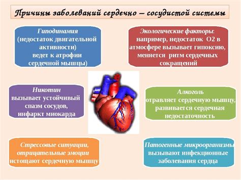 Роль питания и терапии в поддержании оптимального состояния сосудистой системы