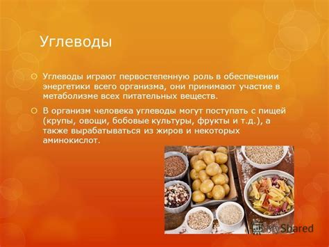 Роль питательных веществ в обеспечении здорового питания