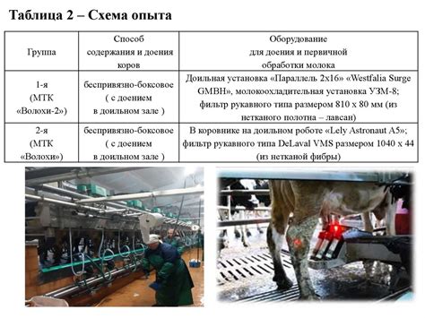 Роль пульсатора в обеспечении эффективности доения