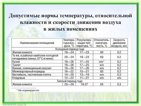 Роль растений в регулировании влажности в помещении
