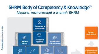 Роль статуса и компетенций в профессиональном росте и карьере