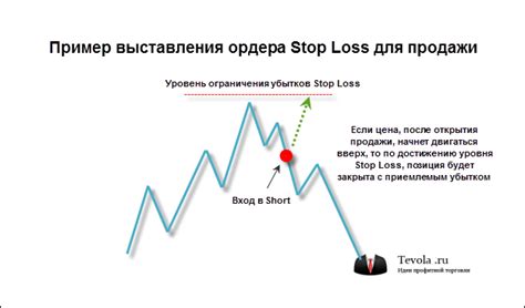 Роль стоп-лосса для минимизации рисков валютной торговли