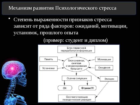 Роль стресса и психологического состояния в возникновении проблем с кожей