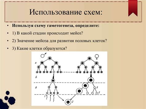 Роль технологий в организации самостоятельной подготовки к экзаменам