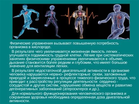 Роль физической активности в улучшении кровообращения и регуляции телесной температуры