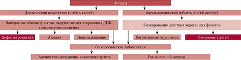 Роль фолиевой кислоты в профилактике некоторых заболеваний
