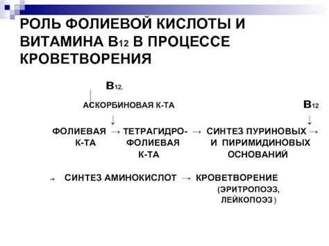 Роль фолиевой кислоты в процессе образования новых клеток