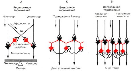 Роль электромеханического торможения