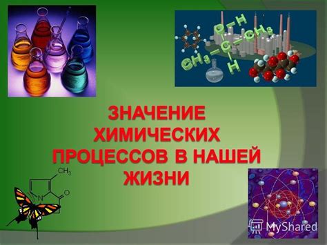 Роль эталонов массы в нашей повседневной жизни