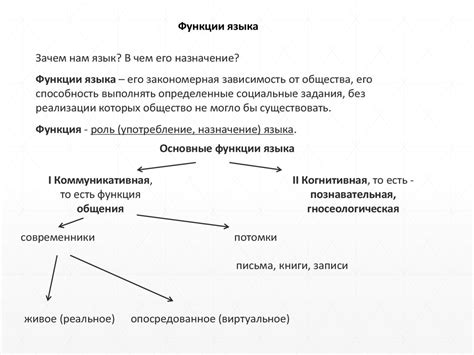 Роль языка в обществе: основные функции и влияние на взаимодействие людей