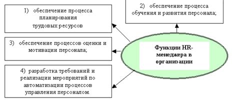 Роль HR-отдела в организации: основные задачи и функции