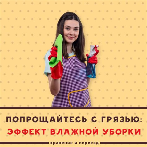 Роскошный и блестящий дом: искусство безупречной уборки