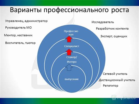 Руководитель-наставник: значение профессионального опыта