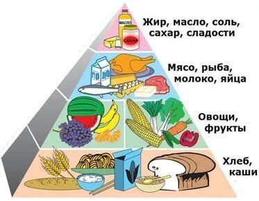 Сбалансированное питание для укрепления защитных функций организма