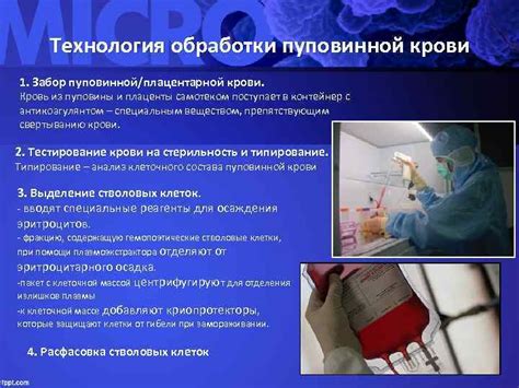 Сбор образца крови из пуповины: важные этапы и методы