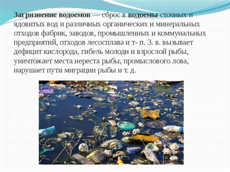 Сброс сточных вод в водоемы: загрязнение водной среды и угрозы для живых организмов