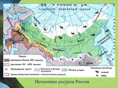 Связь между жадностью волков и наличием пищевых ресурсов