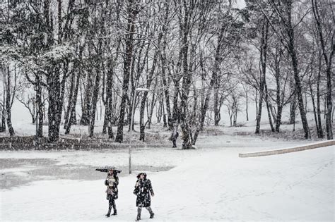 Сезонность и пиковые даты