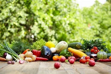 Сезонные овощи и их сочетание с морскими дарами