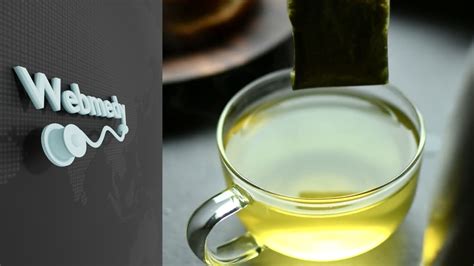 Секреты зеленого чая: важная составляющая для здоровья волос